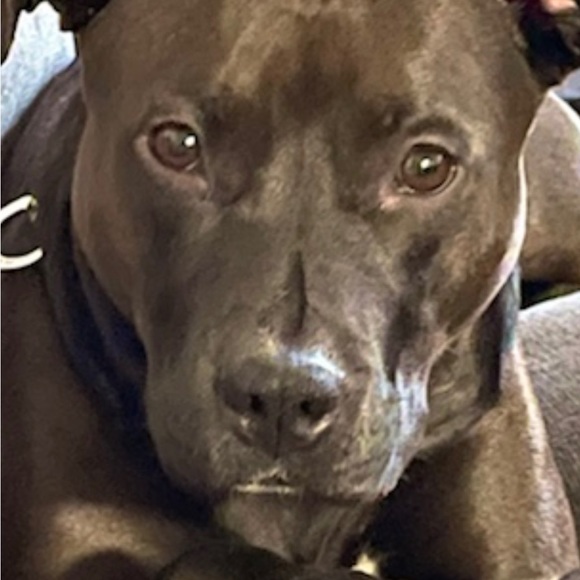 POSHING IN NYC 🏙️🌃🌇 - Picture 5 of 10